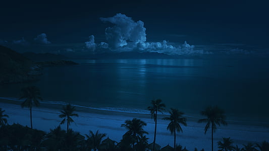 paplūdimys, debesys, Gamta, naktį, vandenyno, palmės, smėlio