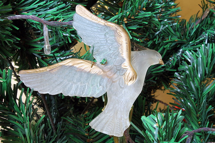 Due, Christmas, ornament, rødmusset ground dove, assessório, Christmas ornament, dekorasjon