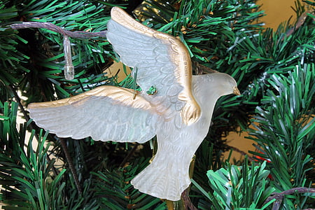 Taube, Weihnachten, Ornament, rötliche Boden Taube, assessório, Christmas ornament, Dekoration