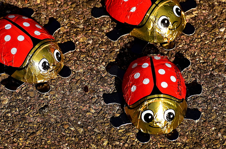 Lucky ladybug, lieveheersbeestje, chocolade, gelukkige charme, geluk, kever, grappig