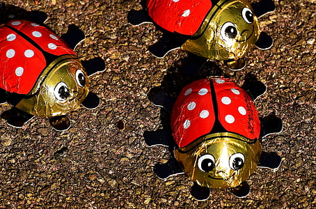 lucky ladybug, ladybug, chocolate, lucky charm, luck, beetle, funny