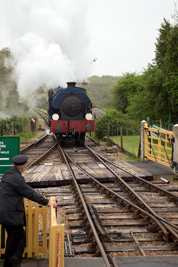 locomotive, railway, heritage, steam, track, points, level crossing
