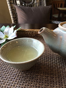 tea, drinks, fermented tea, teapot, tea - Hot Drink, cup, drink