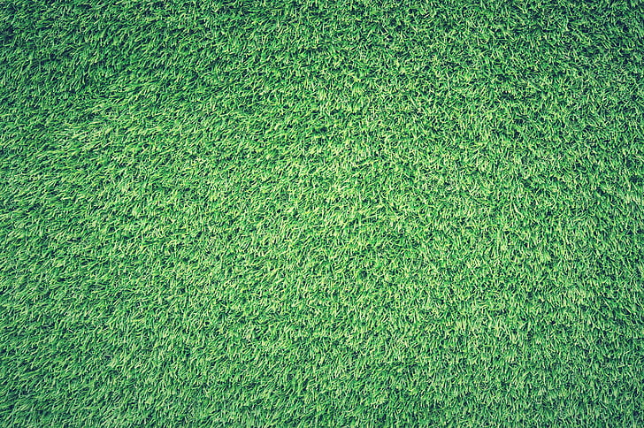 bidang, rumput, hijau, rumput, tekstur, latar belakang, warna hijau
