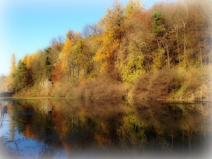 Castello di Pieskowa skała, Polonia, albero, acqua, paesaggio, autunno