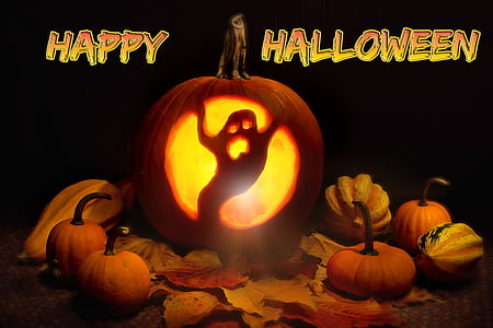 pumpkin, lit, halloween, orange, holiday, autumn, spooky
