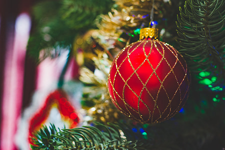 christmas, christmas tree, red, holiday, decoration, xmas, december
