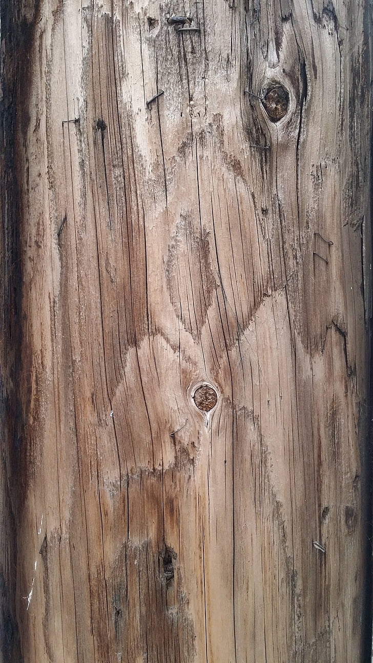 Textur, Holz, Holzstruktur Hintergrund, Hartholz, Holz, aus Holz, Oberfläche