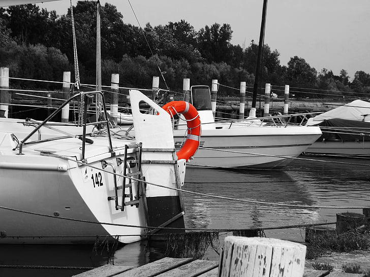 blanc i negre, vaixell, Porto, Mar, lifebelt