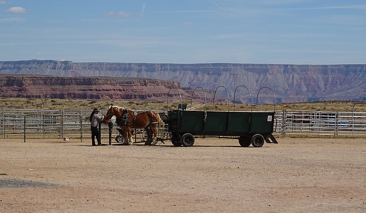Ranch, Hualapai, indiano, Grand canyon, vagone, carrello del cavallo, prenotazione