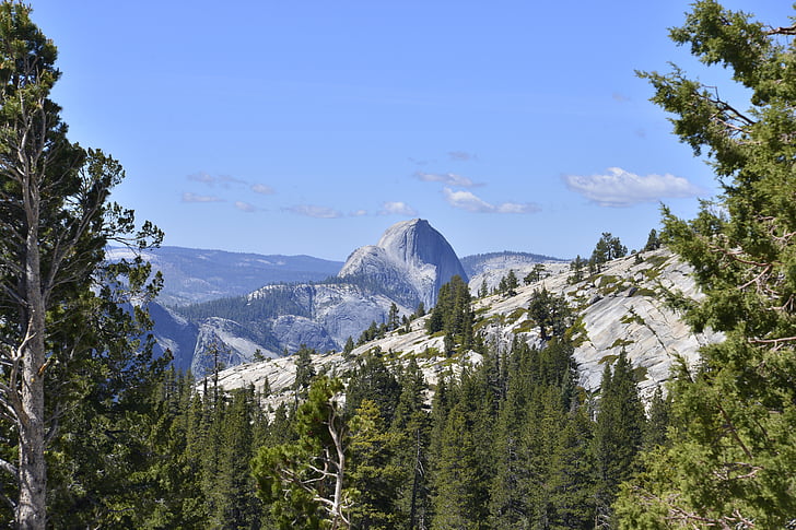 Yosemite, Californie, montagne, national, Forest, l’Amérique, Scenic