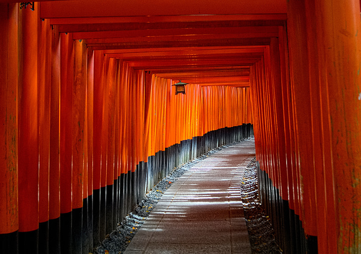 kyoto, japan, torii gate, path, spiritual, asia, contemplation