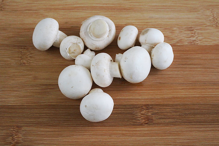champignon, svampe, hvide champignon