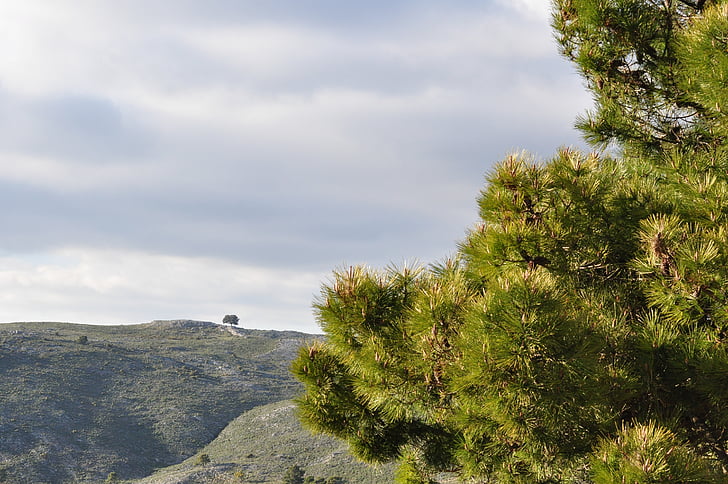 hegyek, táj, fa, nézet, szemközti nézet, természet, Spanyolország