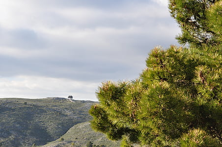gore, krajine, drevo, pogled, pogled na vrh, narave, Španija
