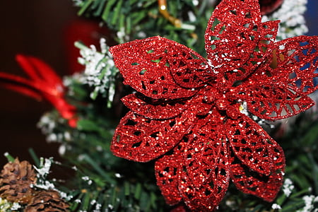 jul, juletræ, ungt træ, ornament, juletid, dekoration, julepynt