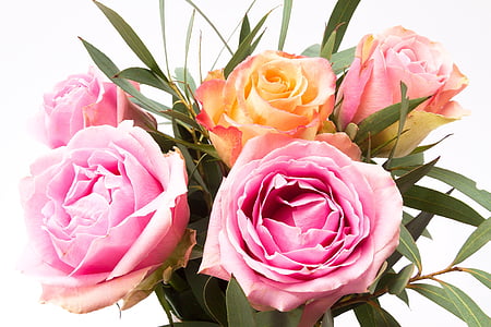 rosa, bouquet, fiore, materiali compositi, primavera, natura, pianta