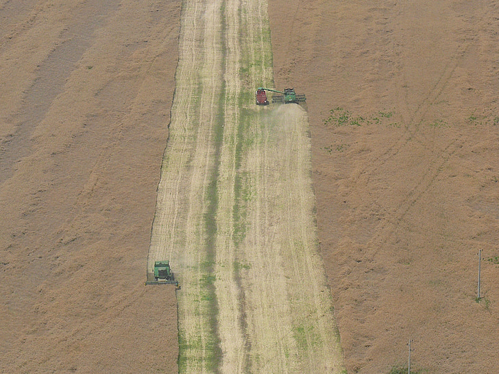 bulgaria, the danube plain, harvest, combine harvesters, area, aerial View, agriculture
