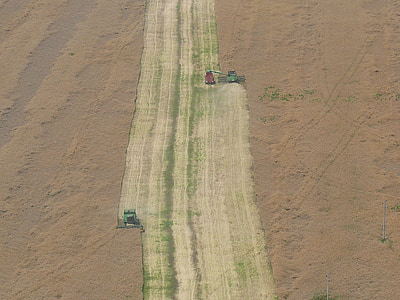bulgaria, the danube plain, harvest, combine harvesters, area, aerial View, agriculture