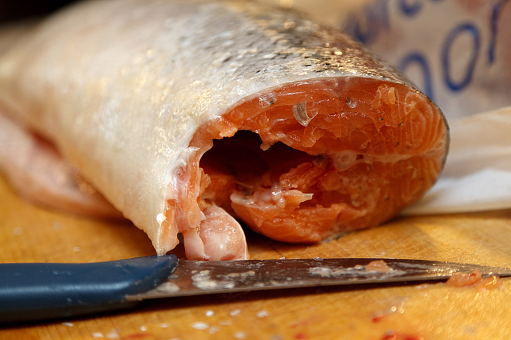 tallar, carn, crua, aliments, peix, salmó, Filet