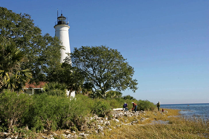Lighthouse, puud, rannajoon, st marks lighthouse, Beach, Turism, Tower