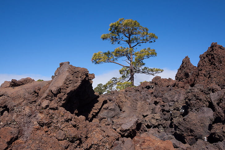 lava, pedra de lava, campos de lava, pedregulhos, paisagem lunar, Tenerife, Teide