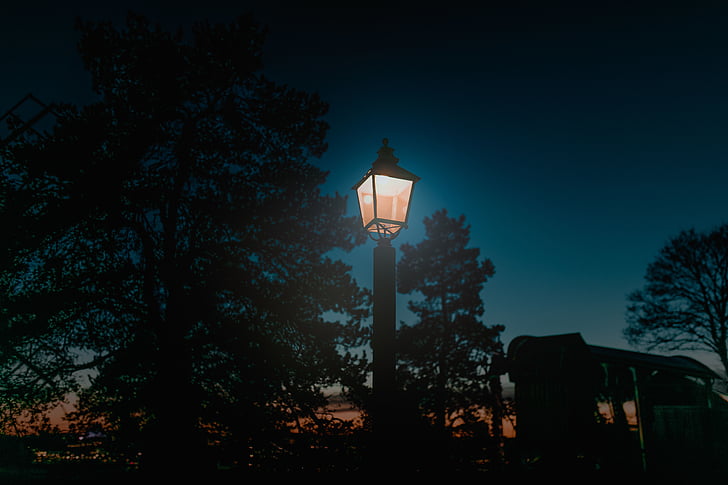 pole, lamp, outside, trees, plant, night, light