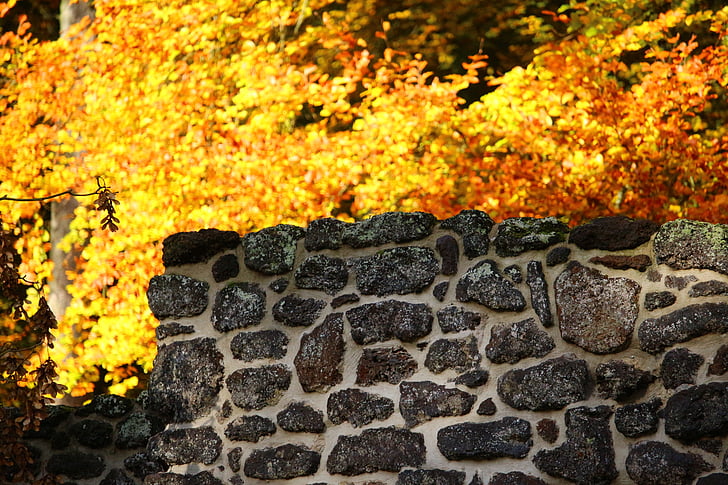 paret, mineral de ferro, klump, Gruta, ruïna, Parc del castell, Ludwigslust-parchim
