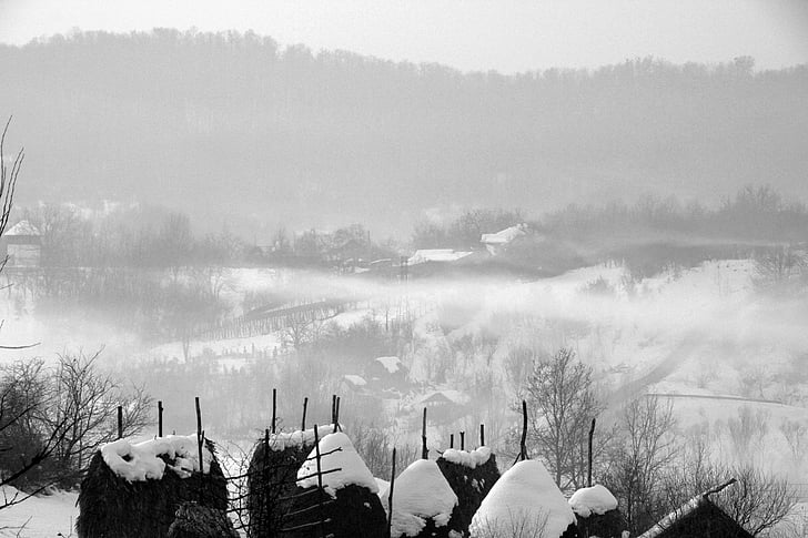 mist, snow, morning, nature, winter, white, cold
