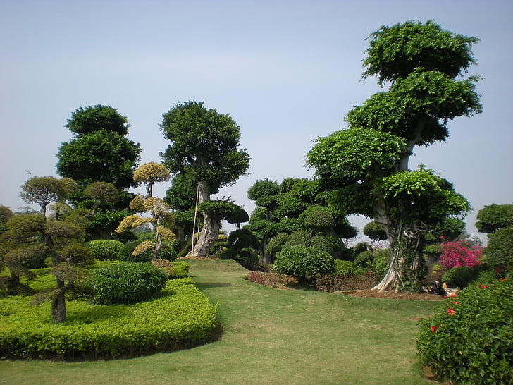 Chiny, ogród, Natura, drzewa