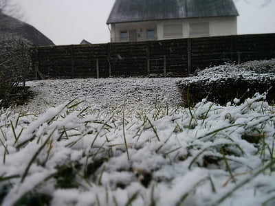 l'hivern, neu, herba, fred, blanc, desembre, fred - temperatura