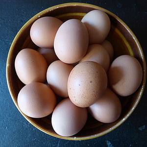 яйце, куряче яйце, продукти харчування, харчування, курячі продукту, кольору яєчної, білка