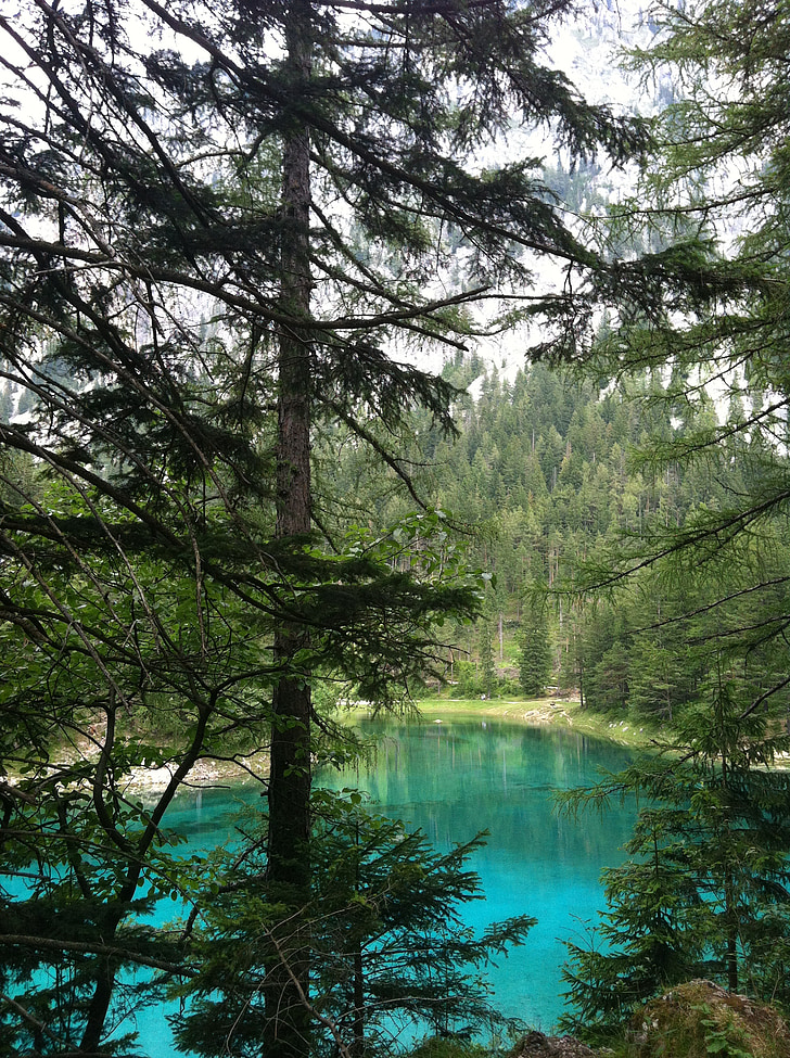 màu xanh lá cây hồ, nước, Lake, màu xanh lá cây, Thiên nhiên, Ao, màu xanh lá cây nước
