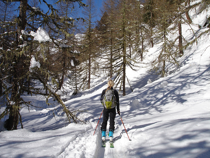 오지 skiiing, 숲, 스키 투어, 스키, skitouren 참석자, 야외, 겨울 스포츠