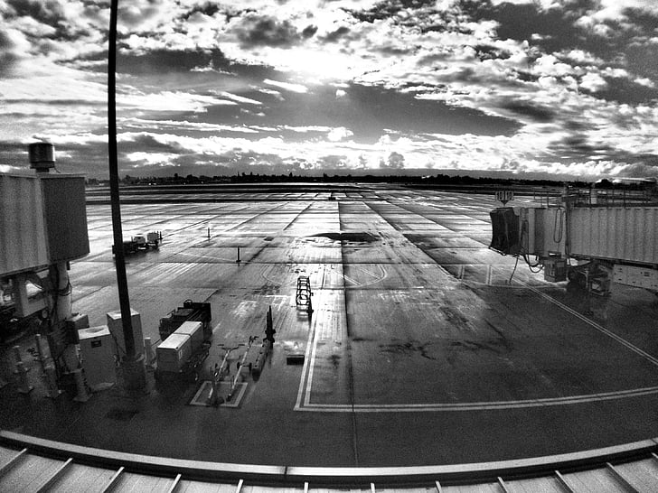 Sân bay quốc tế San jose, thiết bị đầu cuối, đi du lịch, khởi hành, giao thông vận tải, chuyến đi, xuất hiện
