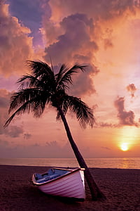palm tree, palm, ocean, summer, vacation, boat, beach