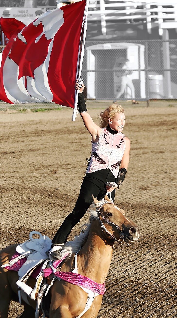 cheval, Rider, Rodeo, exposition, cheval, sport, femme