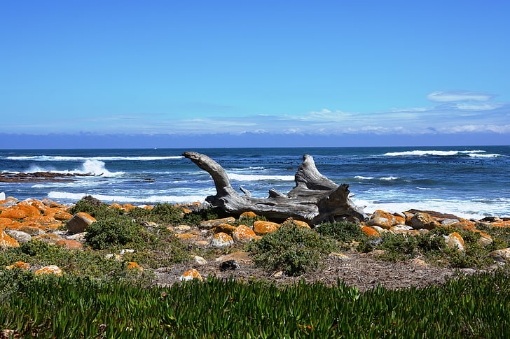 плаж, Южна Африка, вода, море, природата, брегова линия, рок - обект