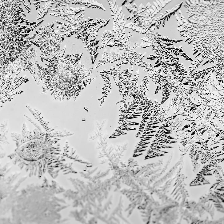 hitam dan putih, dingin, embun beku, fotografi makro, musim dingin, penuh frame, Close-up