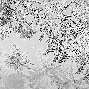 svart och vitt, kalla, Frost, makrofotografering, vinter, fullformat, närbild
