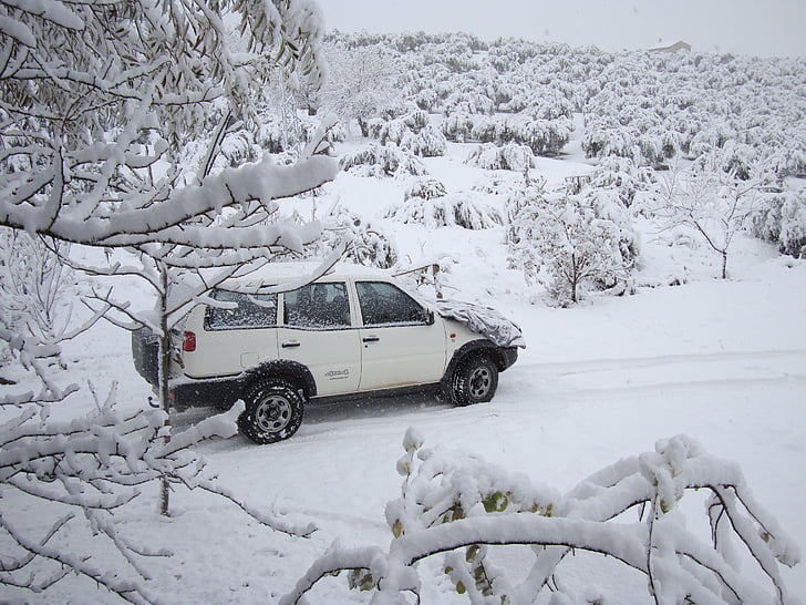 invierno, nieve, naturaleza, Andalucía, Ruta de acceso, blanca Navidad, blanco invierno