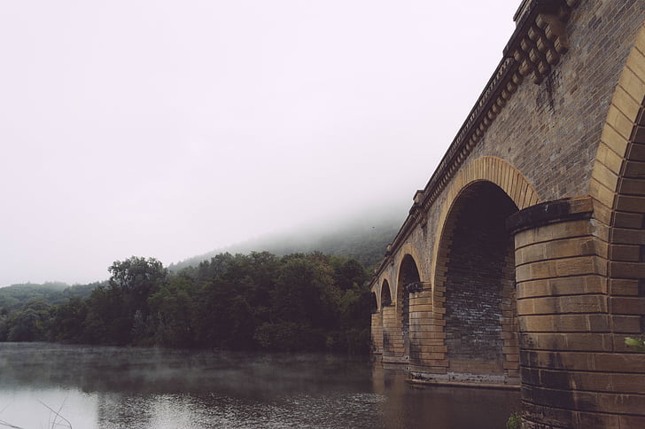 bridge, foggy, forest, lake, misty, river, riverside