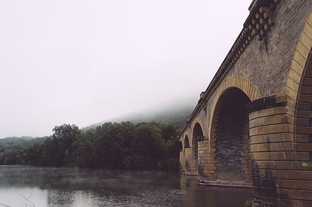 桥梁, 有雾, 森林, 湖, 薄雾, 河, 江边
