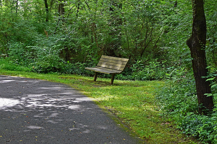 bench on green-way path, bench, wooden, path, restful, peaceful, trees