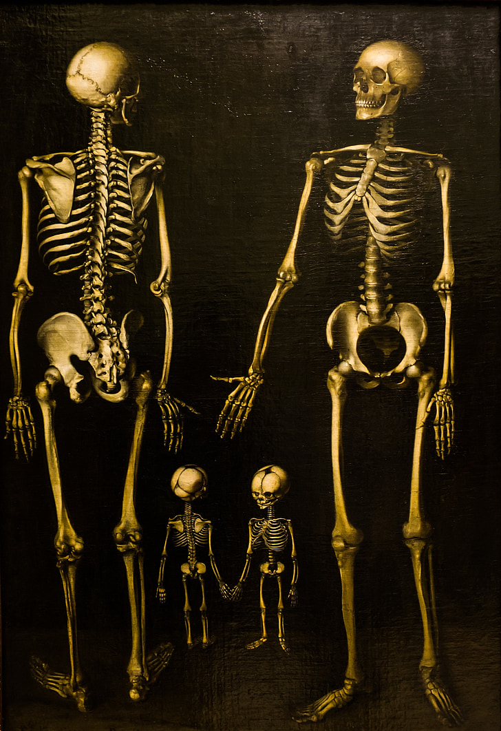 esqueletos, família, caixa, pintura, ossos, caveira, morte