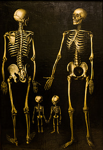 skeletter, familie, boks, maleri, knogler, kranium, død