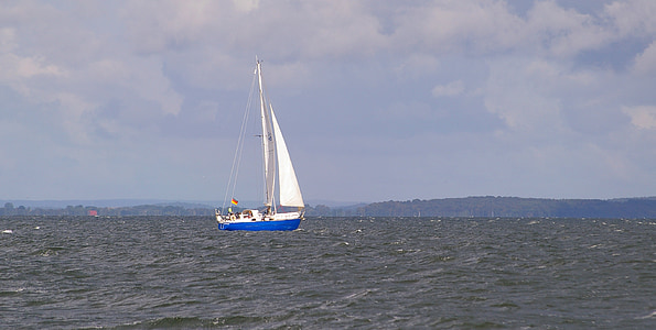 sailing vessel, sail, ship, sea, water sports, regatta, sailing boat