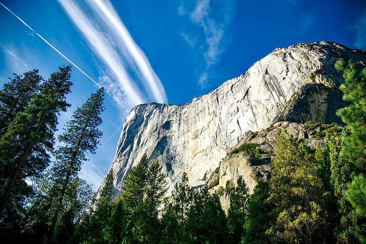 Yosemite, Národní park, krajina, hory, útes, Les, stromy