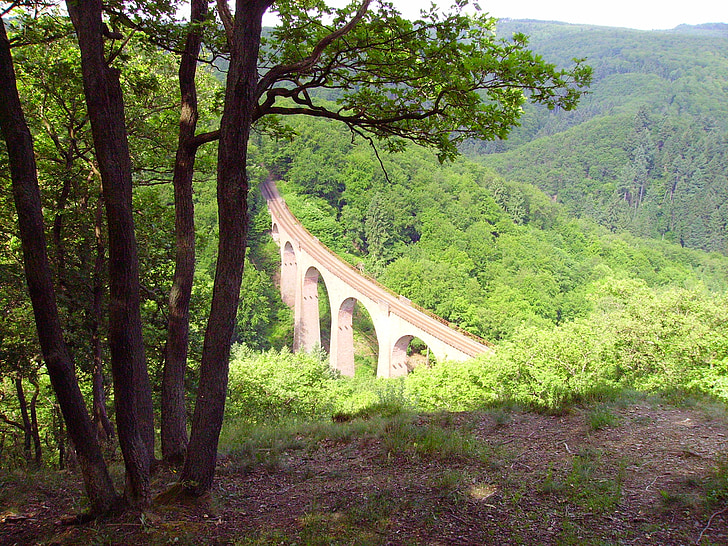 Forest, Glade, Viaduc de, pont ferroviaire, Rhin moyen, Pont - l’homme mis à structure, nature