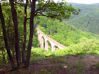 Orman, Glade, viyadük, Demiryolu Köprüsü, Orta Ren, -dostum köprü yapısı yapılmış, doğa